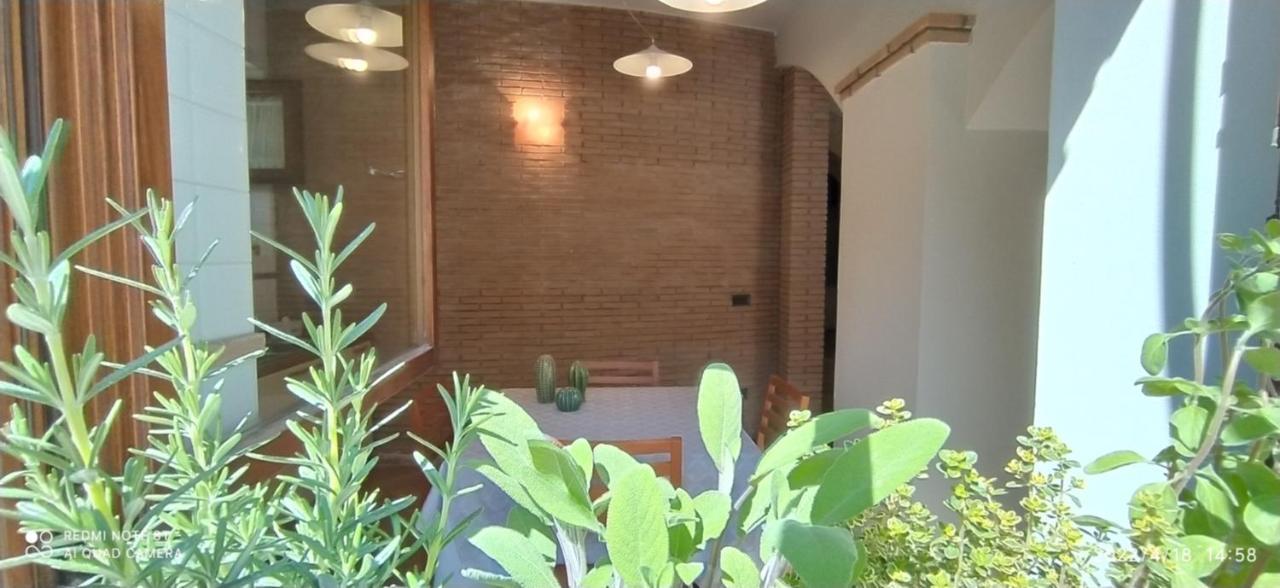 La Puteka Short Rent Nel Cuore Di Vasto Exteriér fotografie
